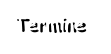 Termine